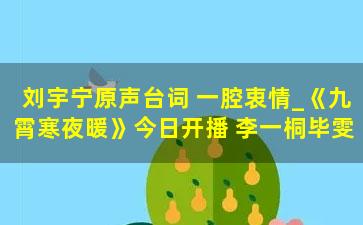 刘宇宁原声台词 一腔衷情_《九霄寒夜暖》今日开播 李一桐毕雯珺爆笑追凶共破奇案